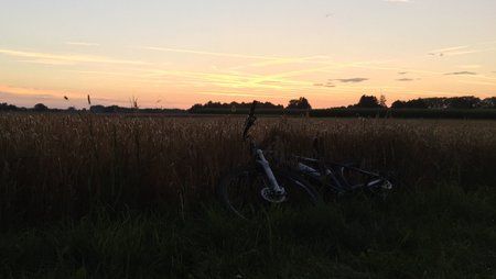 2016-08-04 05.41.46-JPG.jpg