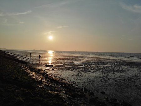 IMG_20160724_204039.jpg