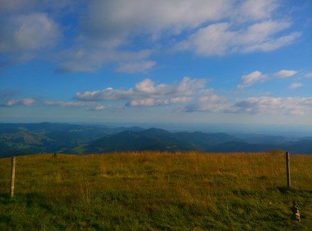 IMG_20160807_181742.jpg