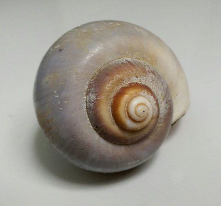 IMAG0201_1.jpg