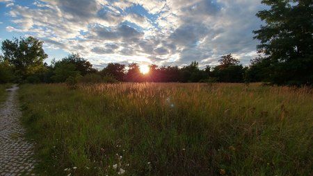 20160817_193527_HDR[1].jpg