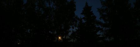 tmp_7797-20160818_210040-1422025874.jpg