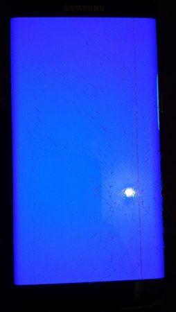 Display_2.jpg