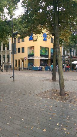 IMAG0113.jpg