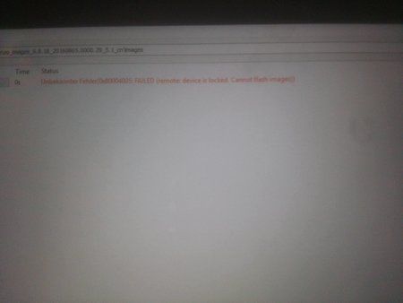 14037578_1152589324787827_611525986_o.jpg