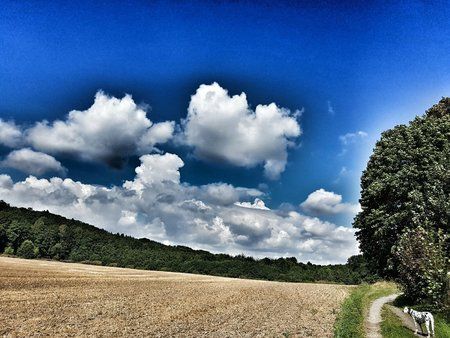IMG-20160822-WA0000.jpg