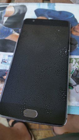 20160827_100751.jpg