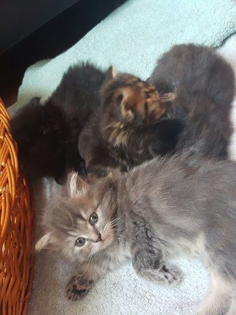 IMG-20160828-WA0003.jpg