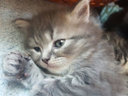 IMG-20160828-WA0002.jpg