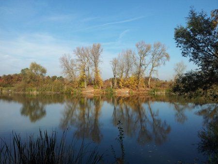 20111106_125041-1.jpg