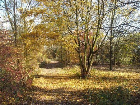 20111106_125836-1.jpg