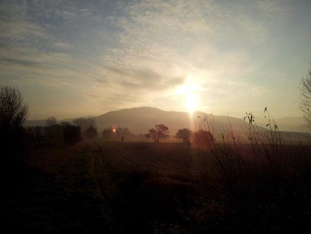 20111112_082916-1.jpg