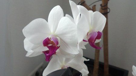 2011-11-18_13-09-10_177.jpg