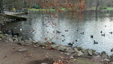 2011-11-20_15-19-02_241.jpg