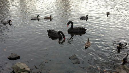 2011-11-20_15-19-30_259.jpg