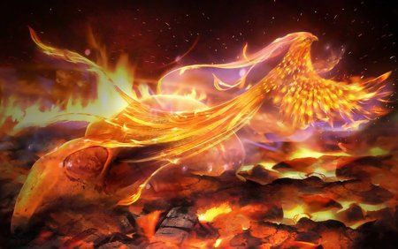 phoenix_by_marilucia-d6j8h4c.jpg