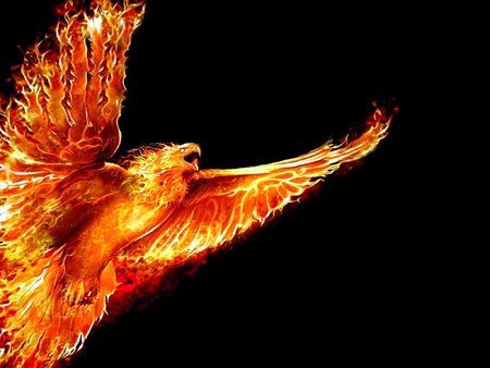 2048x1536_fire-phoenix-black.jpg