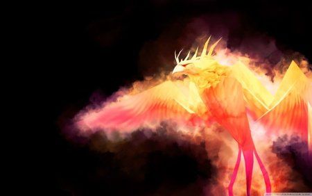 world_of_warcraft_phoenix-wallpaper-2560x1600-1024x640.jpg