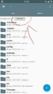 226615023_8965_5321468393107131129.jpg