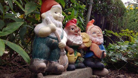 IMG_20160902_154957.jpg