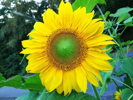 2016-09-06 18.58.17.jpg