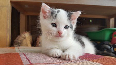 2016-09-08 17.56.56.jpg
