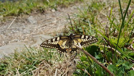 20160908_141526.jpg