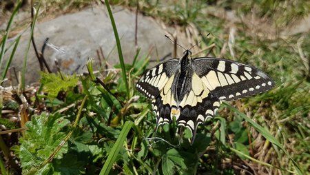 20160908_141425.jpg