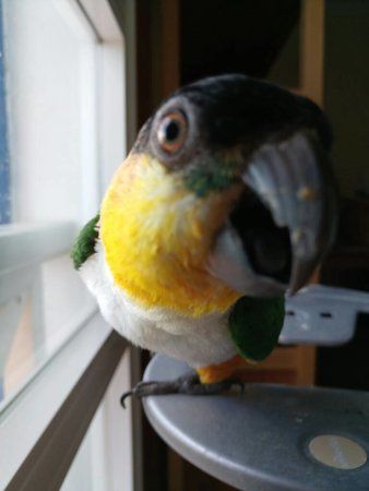IMG_20160911_094538.jpg