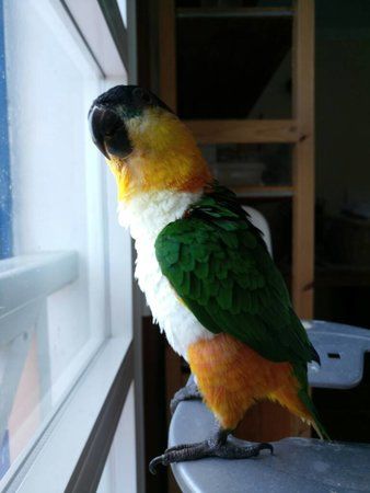 IMG_20160911_094530.jpg