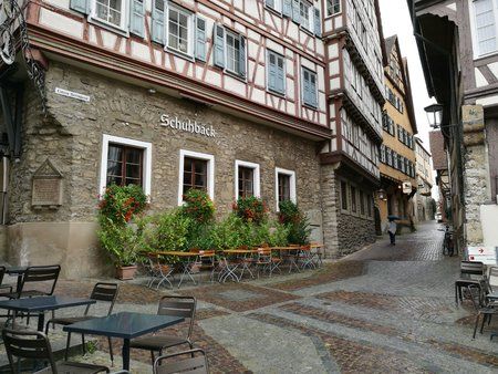 IMG_20160904_121739.jpg