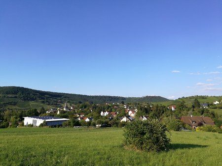 IMG_20160831_181532.jpg