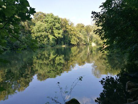 IMG_20160911_165605.jpg