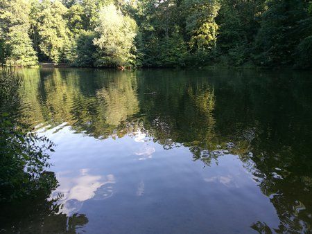 IMG_20160911_170158.jpg