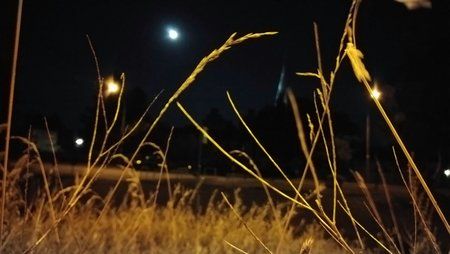 IMG-20160914-WA0001.jpg