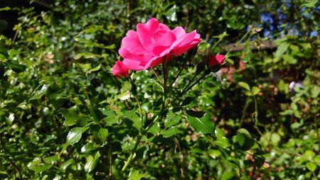 IMG_20160915_142013.jpg