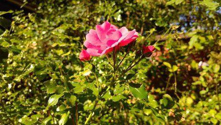 IMG_20160915_142004.jpg