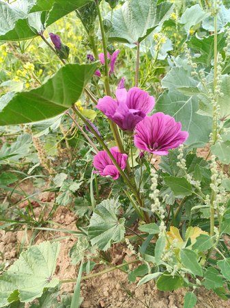 20160915_172400.jpeg