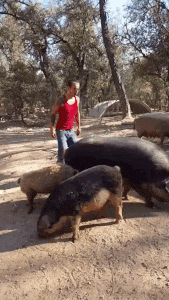 ezgif-1983745008.gif