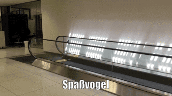 ezgif-3929344826.gif