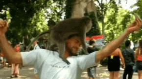 ezgif-875652386.gif