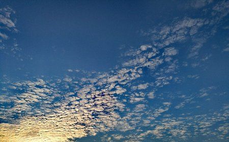 IMG_0225.JPG