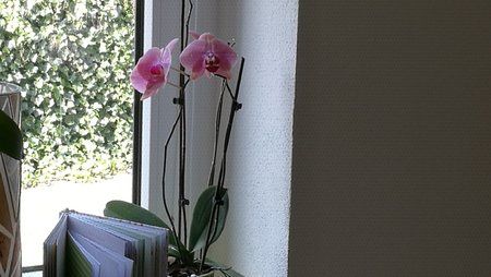 IMG_20160924_115449.jpg
