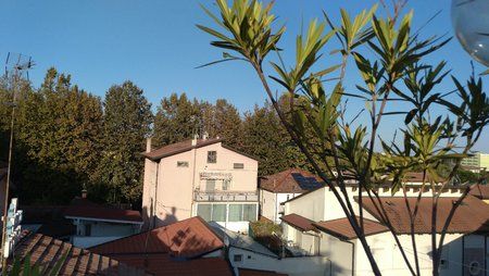 IMG_20160924_174659.jpg