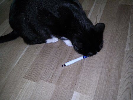 Test (2).jpg