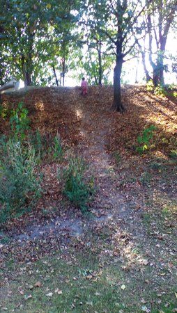 20160922_110631.jpg