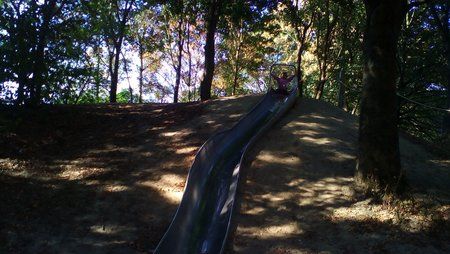 20160922_105753.jpg