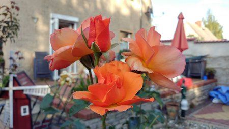 IMG_20160925_163951.jpg