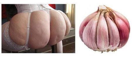 knoblauch.JPG