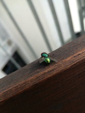 IMG_20160923_102826.jpg